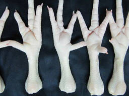 Frozen chicken paws for sell
