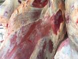 Frozen meat mutton, lamb, beef - photo 1