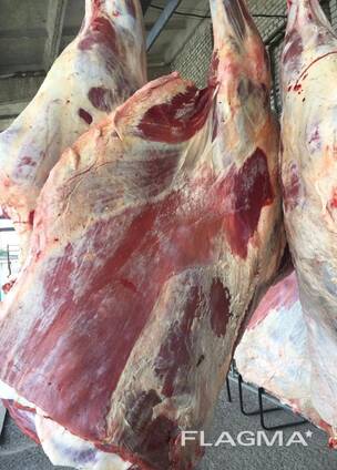 Frozen meat mutton, lamb, beef