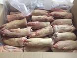 Frozen Pork Front Leg, Hind Leg - photo 1