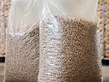Fuel pellet - photo 2