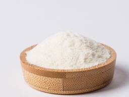 Camel milk in powder