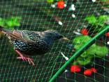 Garden nets, antibird - photo 3