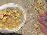 Gold bars and Nuggets - фото 1