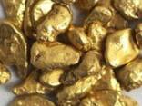 Gold bars and Nuggets - фото 3