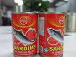 Good price Canned Sardine in tomato sauce - photo 1