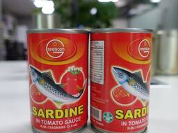 Good price Canned Sardine in tomato sauce
