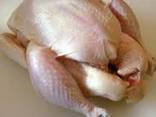 Halal frozen whole chickens and parts - photo 3