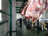 Halal Meat Beef Half/Quarter Carcasses - photo 2