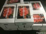 Halal Meat Beef wholesale export - photo 4