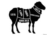 Halal Meat Mutton (Lamb) wholesale export - photo 2