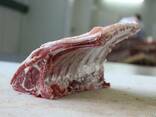 Halal Meat Mutton (Lamb) wholesale export - photo 3