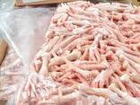 High Quality Chicken Paws/Wholesale Frozen Chicken Feet for Sale at Best Price - фото 2