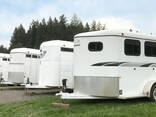Horse carriage trailer 3 horse box trailer Australia standard horse trailer for sale - фото 2