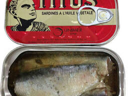 Hot sale low price 425g good canned sardines/mackerel/tuna fish