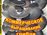 Книга " Промышленное Выращивание грибов Вешенки" - фото 1