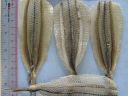 Купить сушеную рыбу в США от производителя из Вьетнама.