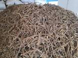 Licorice root and extract - photo 2
