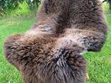Long haired nederlands sheepskin XXL - photo 2