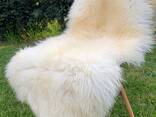 Long haired nederlands sheepskin XXL - photo 3
