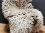 Long haired nederlands sheepskin XXL - photo 5