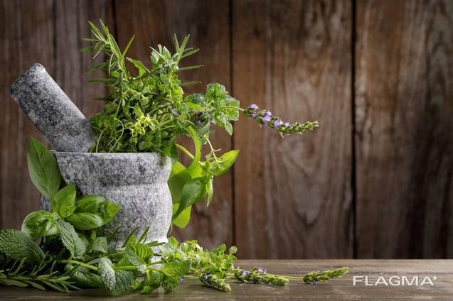 Medicinal herbs