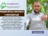 Мощный квартет бизнеса: Нейросеть Сайт Реклама Бот - photo 6