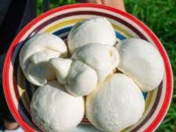 Mozzarella cheese for sale