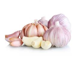 New Crop Fresh Garlic from Shandong, China