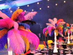 Ostrich feathers for decoration