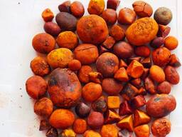 Ox Gallstones for sale