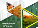 Pesticides for export - photo 2