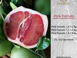 Pink Pomelo from Vietnam - photo 1