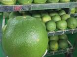 Pink Pomelo from Vietnam - photo 5