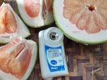 Pink Pomelo from Vietnam - photo 9