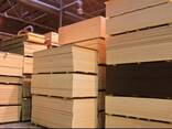 Plywood - photo 1
