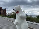 Поздравления от Белого Медведя - photo 3