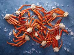 Premium Frozen Crabs — Wholesale Seafood Supply