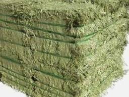 Premium Quality Top-Sale Alfalfa Hay, Timothy Hay Suitable for Animal Feed Grain With 7%