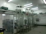 Automatic conveyor systems - photo 2