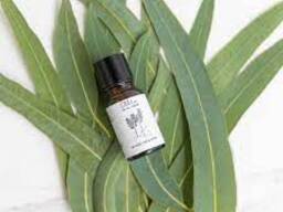 Pure eucalyptus oil