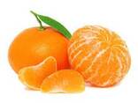 Pure mandarin oil - photo 1