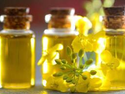 Рапсовое масло , Rapeseed oil