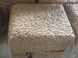 Raw Cashew Nuts Wholesale Competitive Prices - photo 2