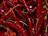 Chile rojo – entero, en polvo y en copos - foto 6