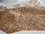 High Quality Wood Pellets and Wood Burning Stove - photo 3
