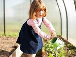 Sale of greenhouses from the manufacturer in the Republic of Belarus - photo 2