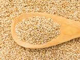 Sesame seeds for sale for sale whatsapp - photo 1