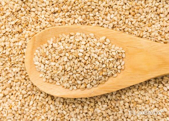 Sesame seeds for sale for sale whatsapp