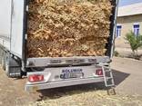 Sorghum for the production of brooms - photo 4